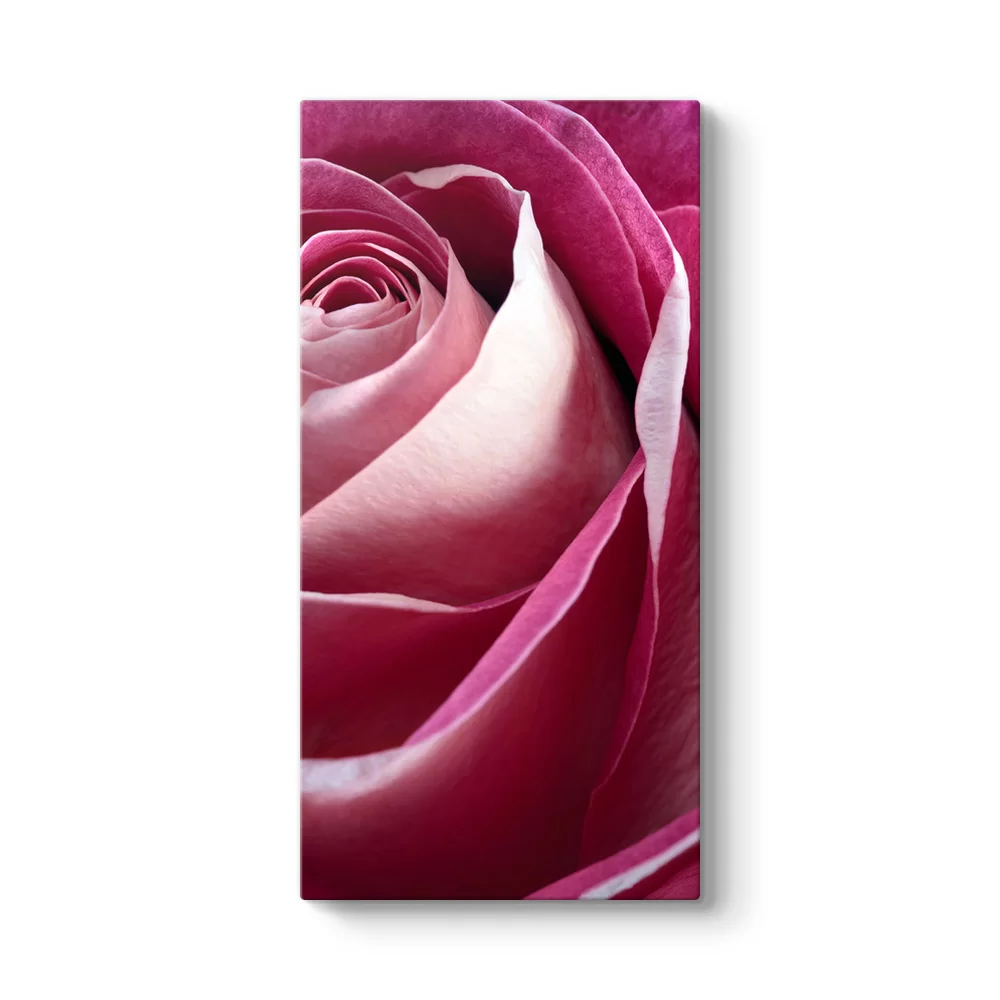 Pembe Gül I Tablosu - Model 7